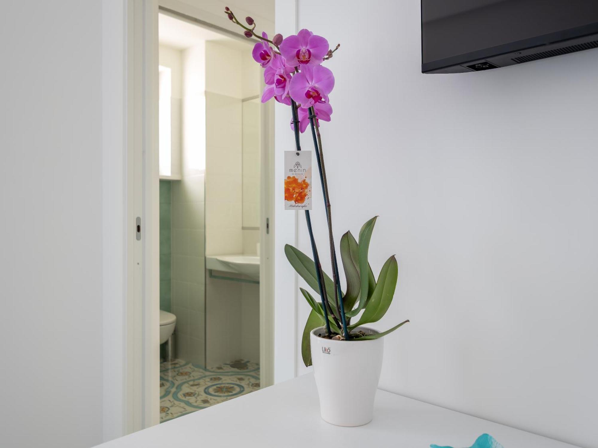 Pusiso - De Vivo Realty Maison d'hôtes Sorrente